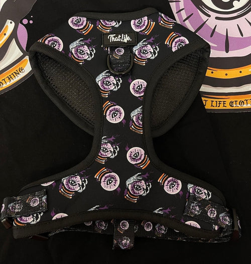 Adjustable D Ring Witchcraft Harness